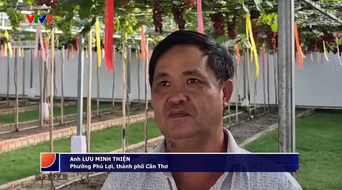 IMG_20251219_090244 Chuyển Đổi Cây Trồng và Phát Triển Nông Nghiệp Bền Vững Qua Kỹ Thuật Trồng Nho